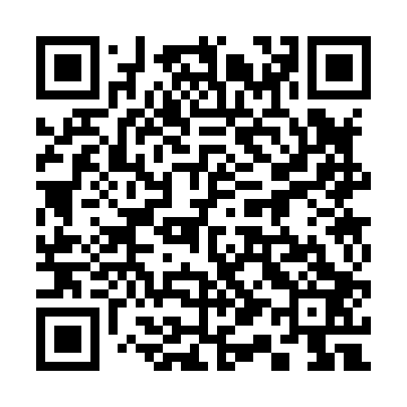 QR code for 313803