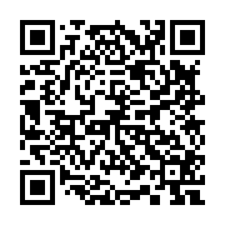 QR code for 313804