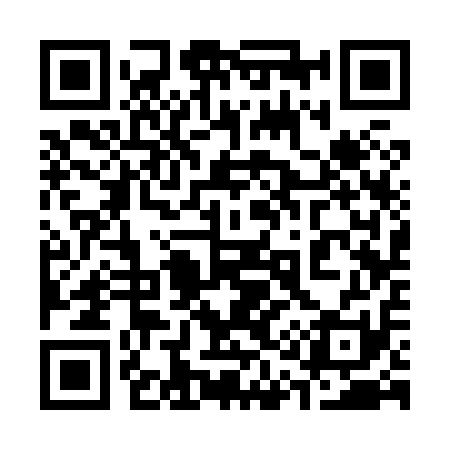 QR code for 313811