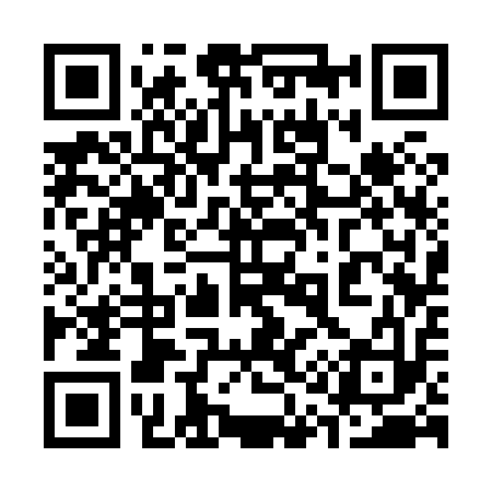 QR code for 313813