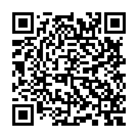 QR code for 313817