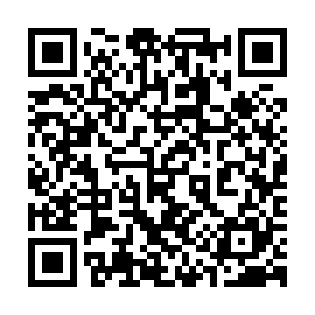 QR code for 313825