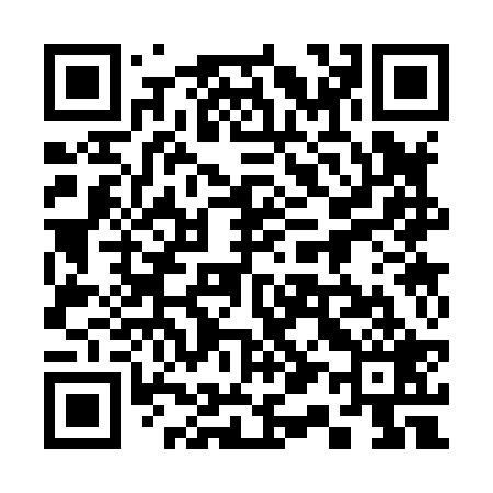 QR code for 313829