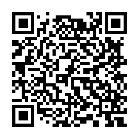 QR code for 313845
