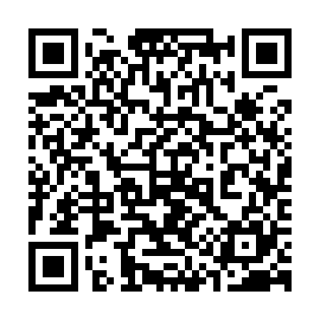 QR code for 313925