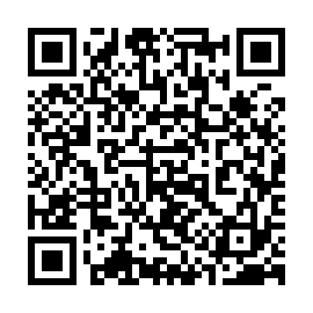 QR code for 313933