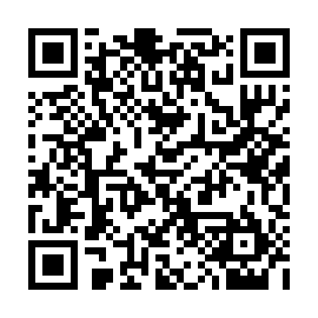 QR code for 314295