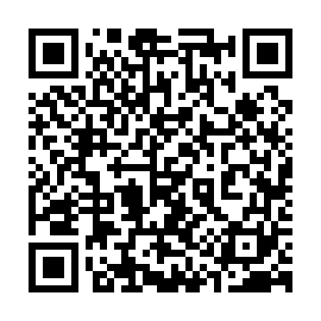 QR code for 316161