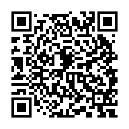 QR code for 316294