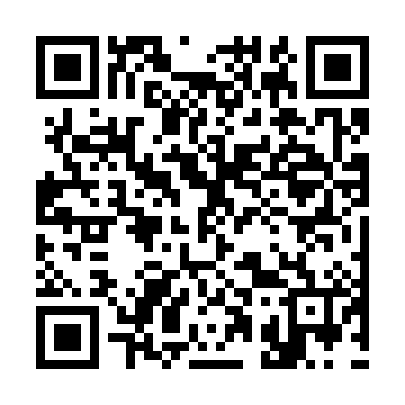 QR code for 316386
