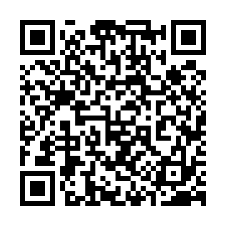 QR code for 316533