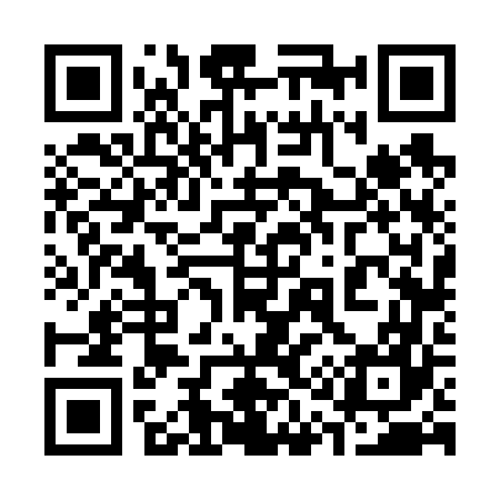 QR code for 316667
