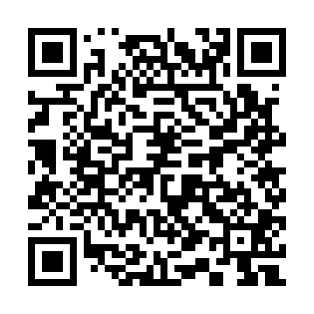 QR code for 317101
