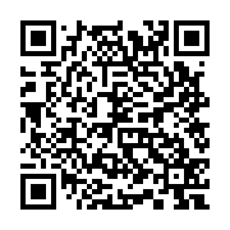 QR code for 317137