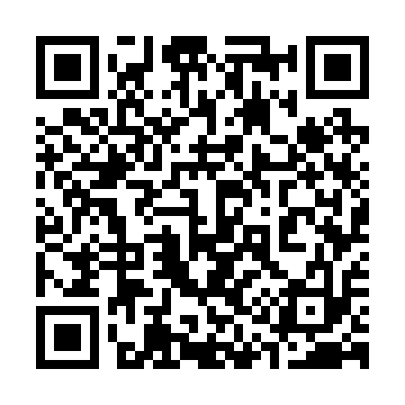 QR code for 317213