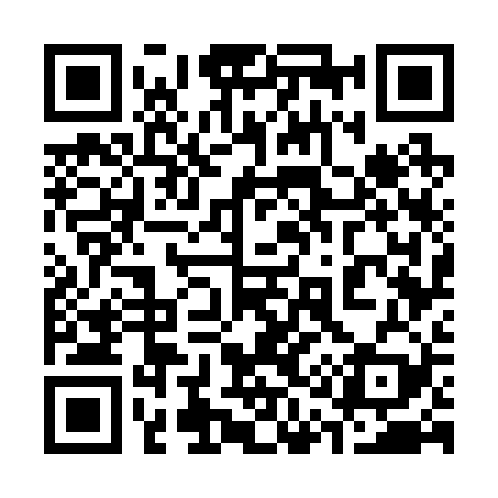 QR code for 317229