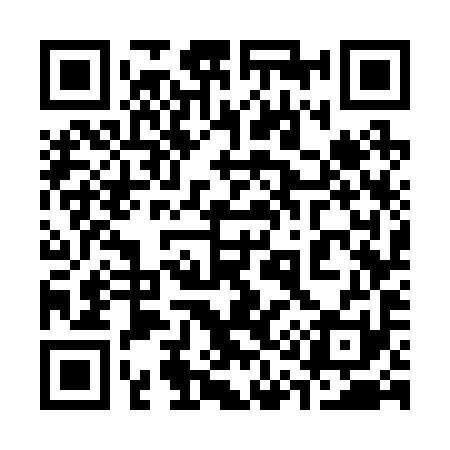 QR code for 317291