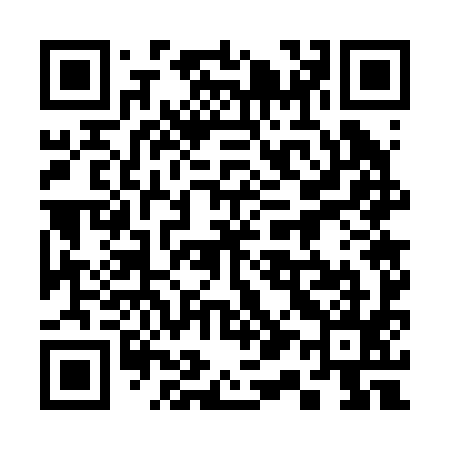 QR code for 317295