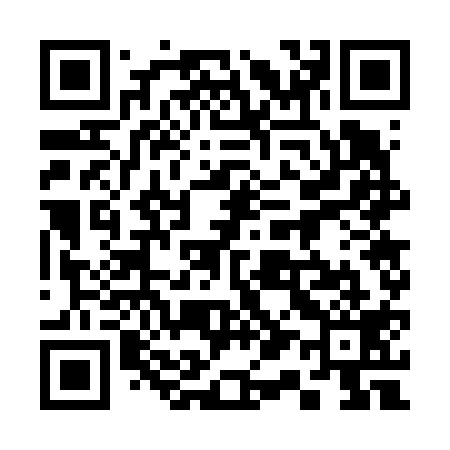 QR code for 317619