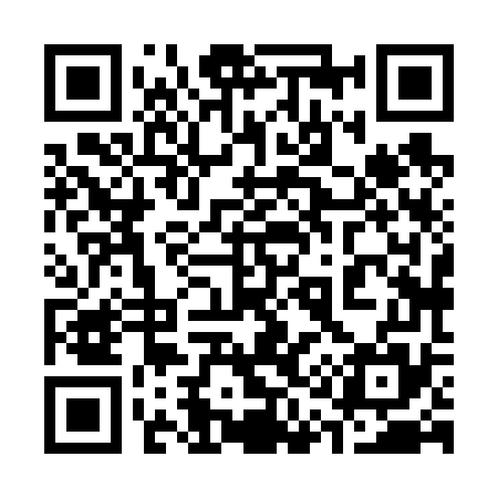 QR code for 318675