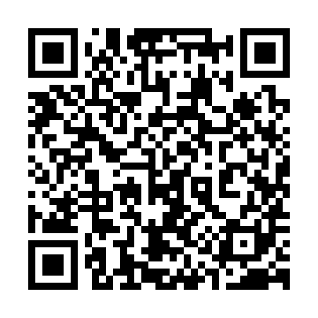 QR code for 319381