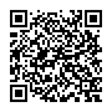 QR code for 323133