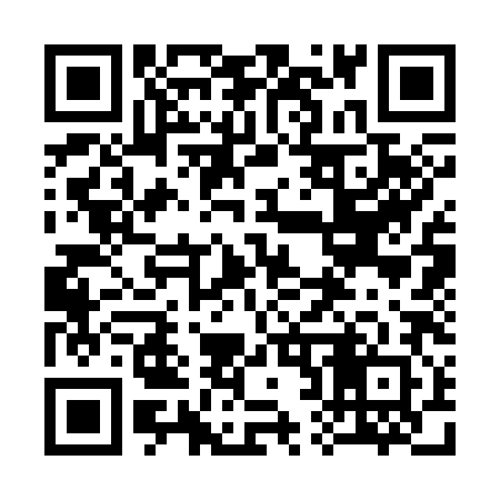QR code for 323382