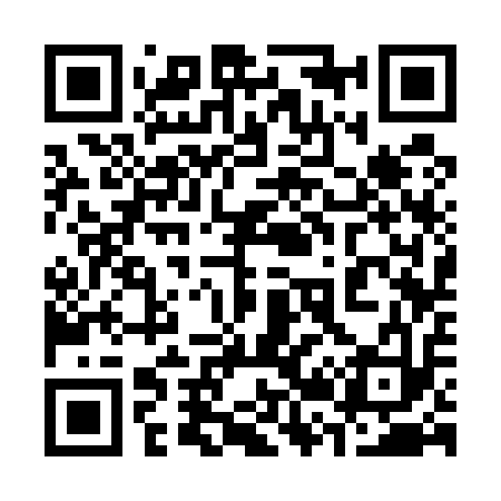 QR code for 323513
