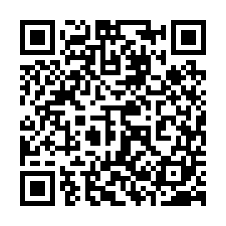 QR code for 325241