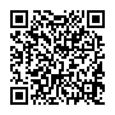 QR code for 325355