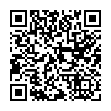 QR code for 328333
