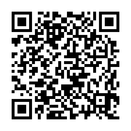 QR code for 330383