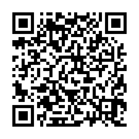 QR code for 333003