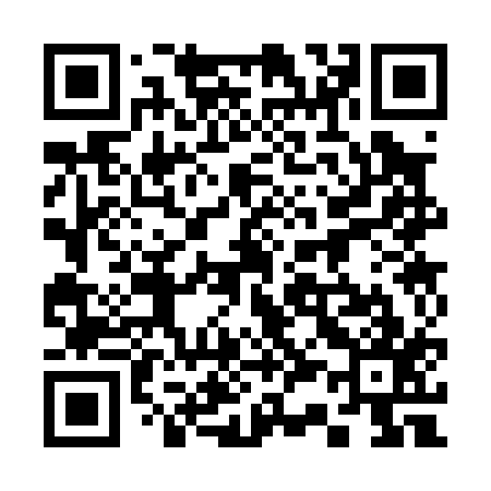 QR code for 333017