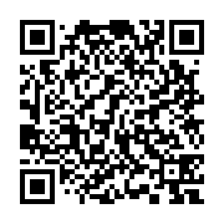 QR code for 333138