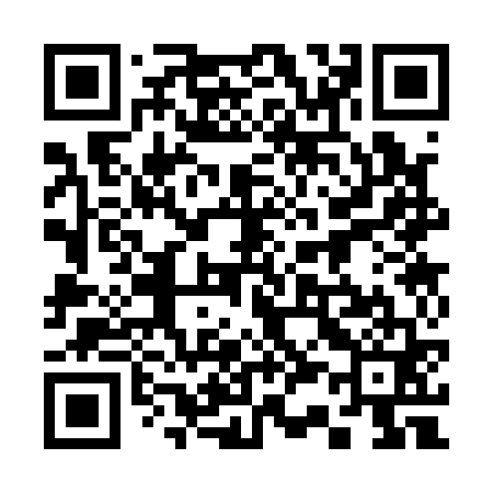 QR code for 333161