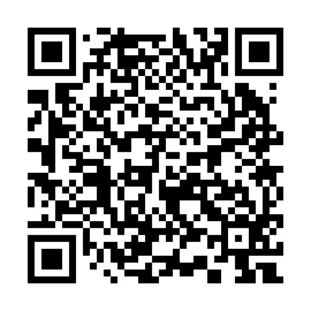 QR code for 333296