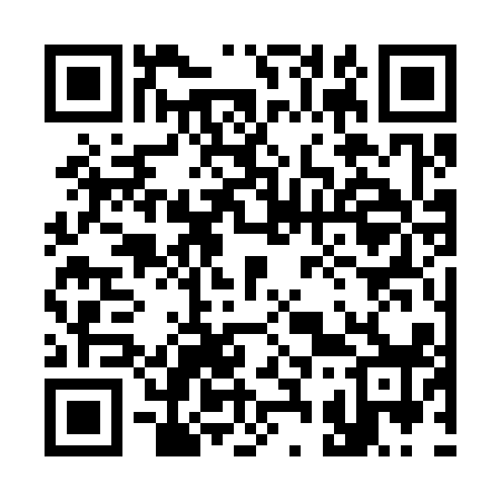 QR code for 333318