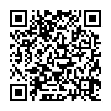 QR code for 333327