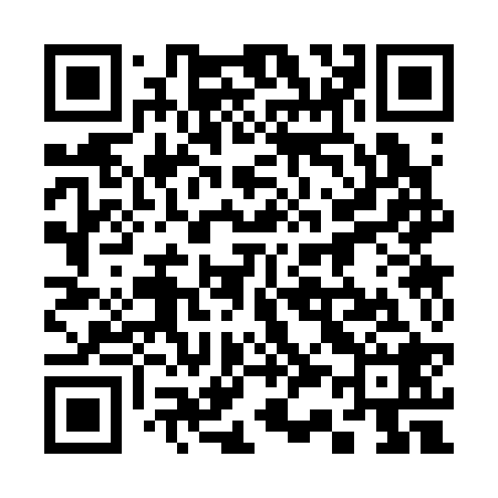 QR code for 333328