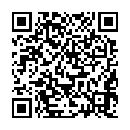 QR code for 333353