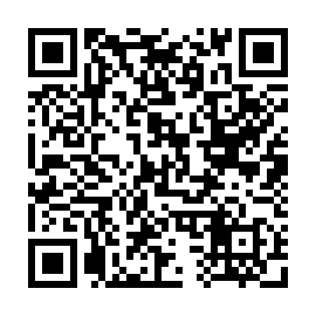 QR code for 333358