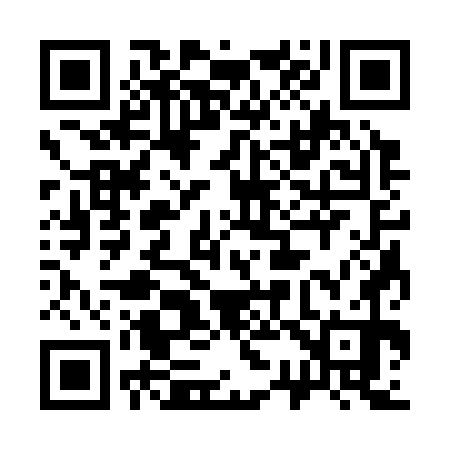 QR code for 333370