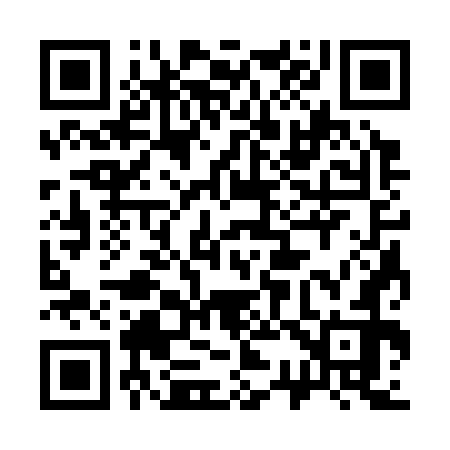 QR code for 333372