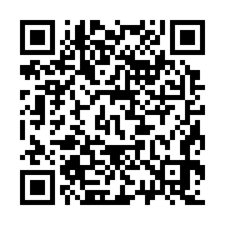 QR code for 333373