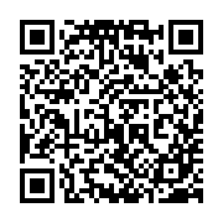 QR code for 333387