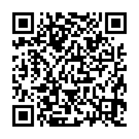 QR code for 333471