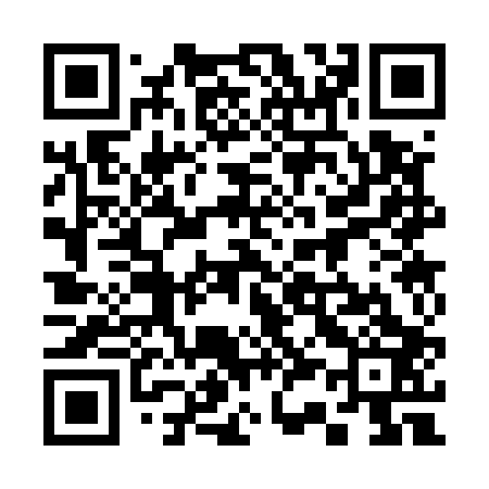 QR code for 333503