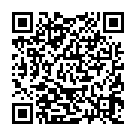 QR code for 333519
