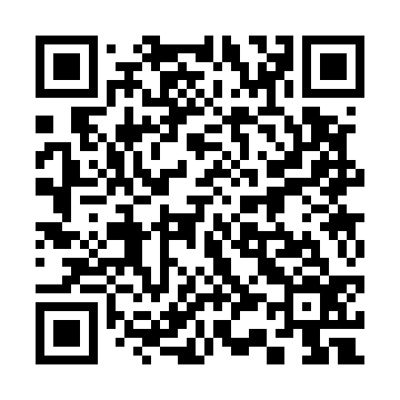 QR code for 333536